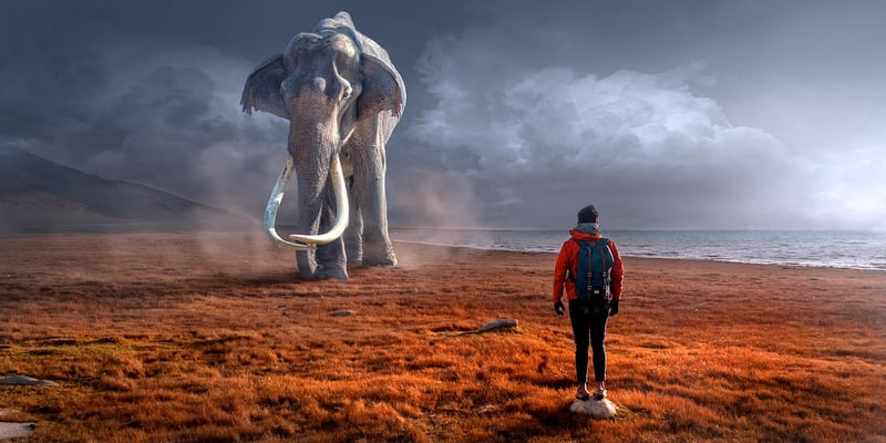 Futuristic Encounters